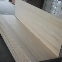 ٹھوس پالاؤنیا بورڈ